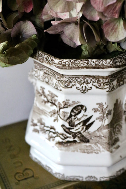 antique 19th century English brown transferware pot