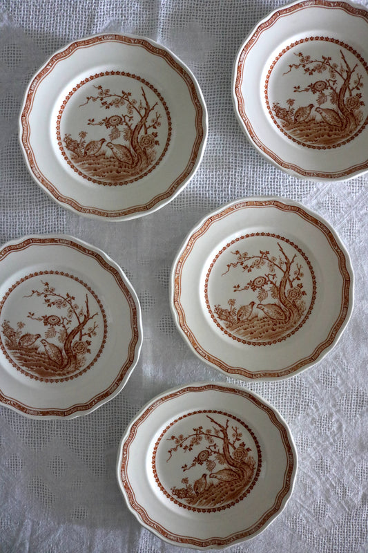 antique Furnivals Quail brown transferware plates - set of 5
