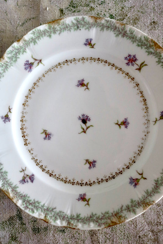 antique French floral Limoges GDA plate