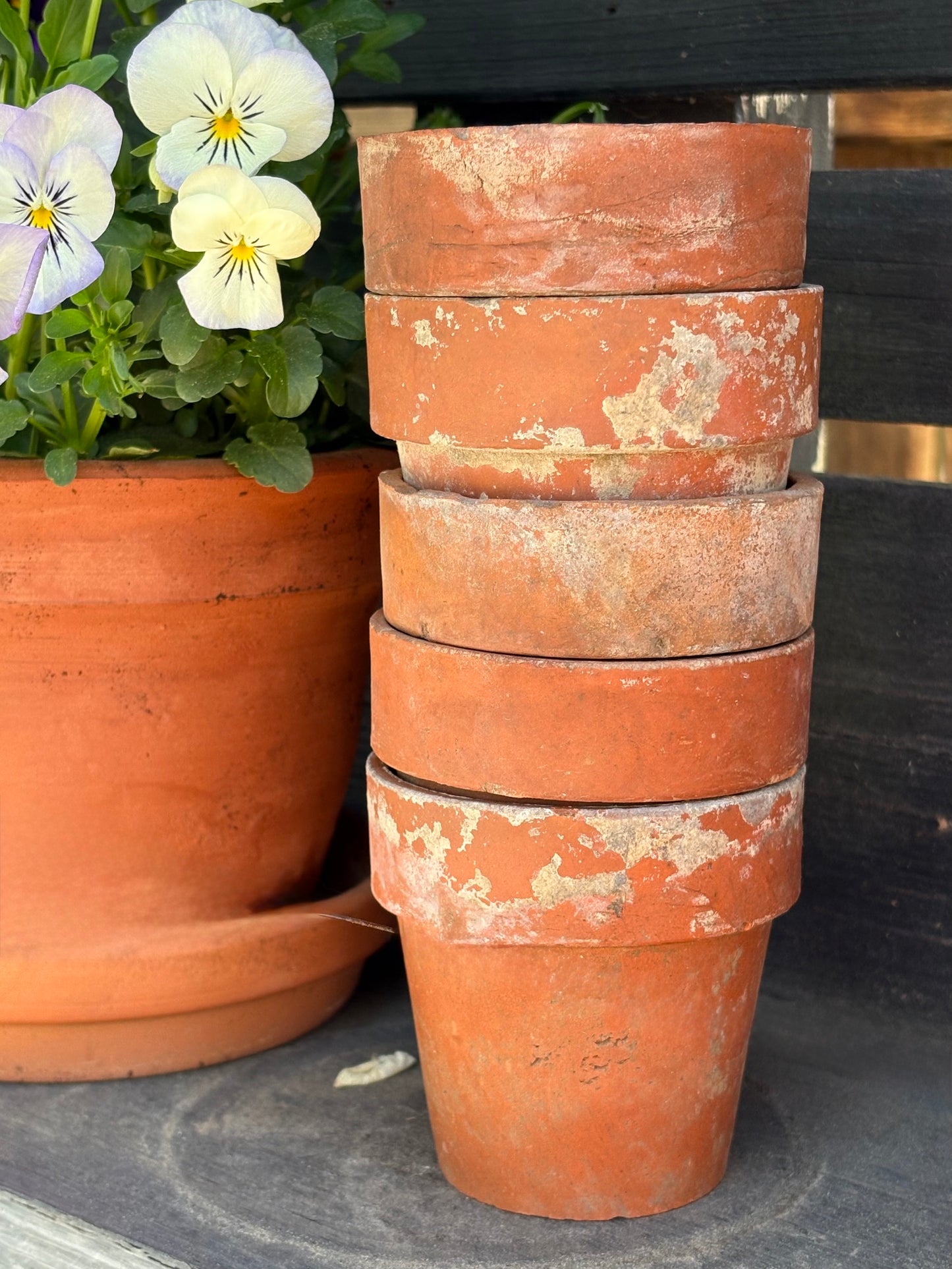 vintage terracotta seedling pots -set of 5