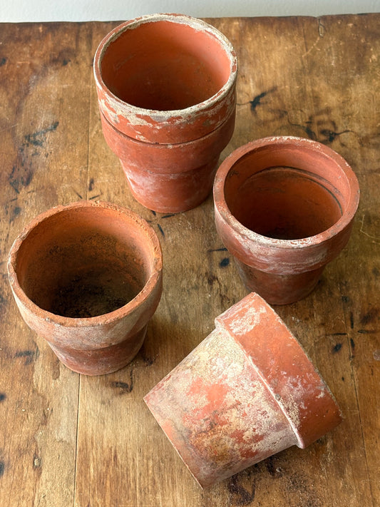 vintage terracotta seedling pots -set of 5