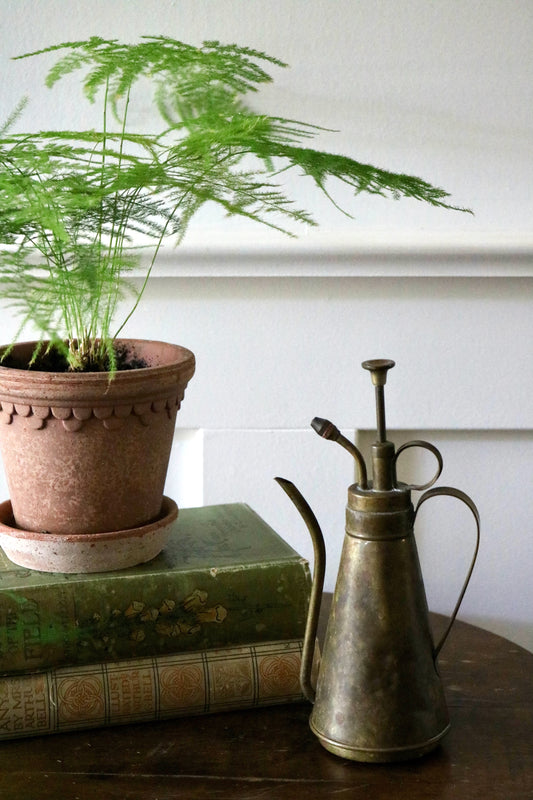 vintage brass plant mister and watering can