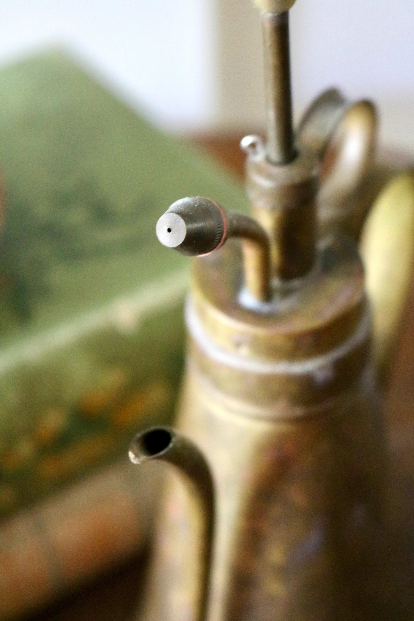 vintage brass plant mister and watering can