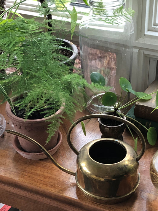 vintage brass watering can