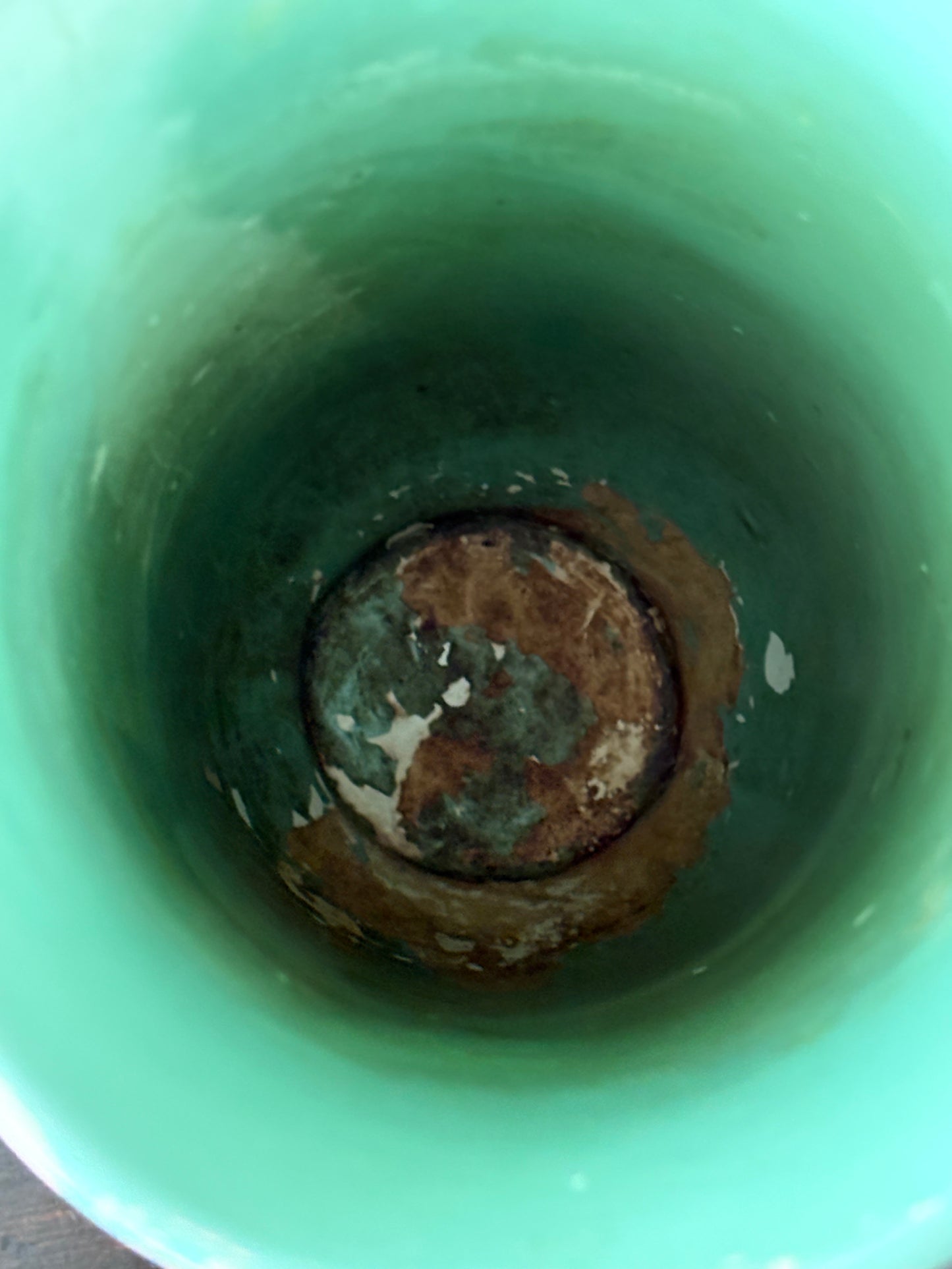 antique English hand painted Brentleigh Ware Flaxton vase