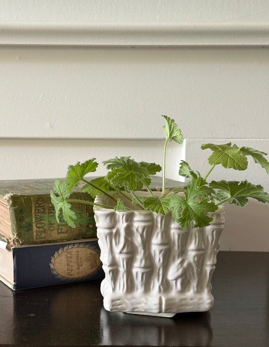 vintage faux bamboo creamware planter