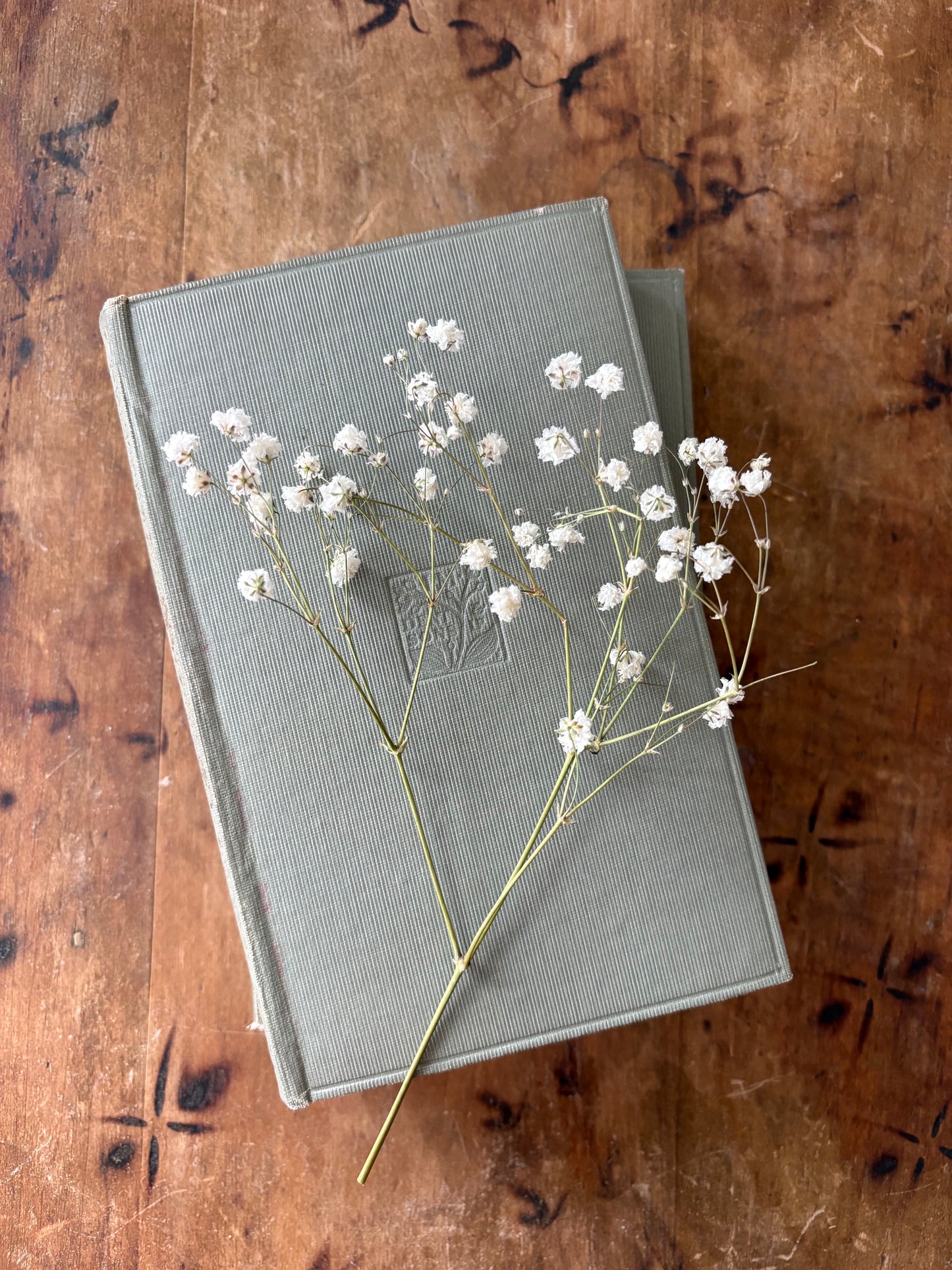 Diary of Samuel Pepys book set