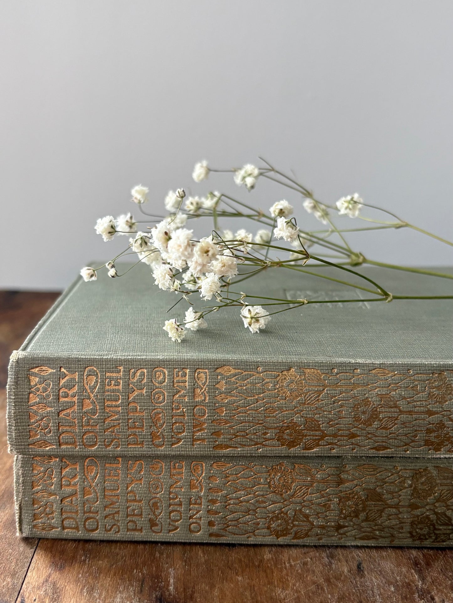 Diary of Samuel Pepys book set