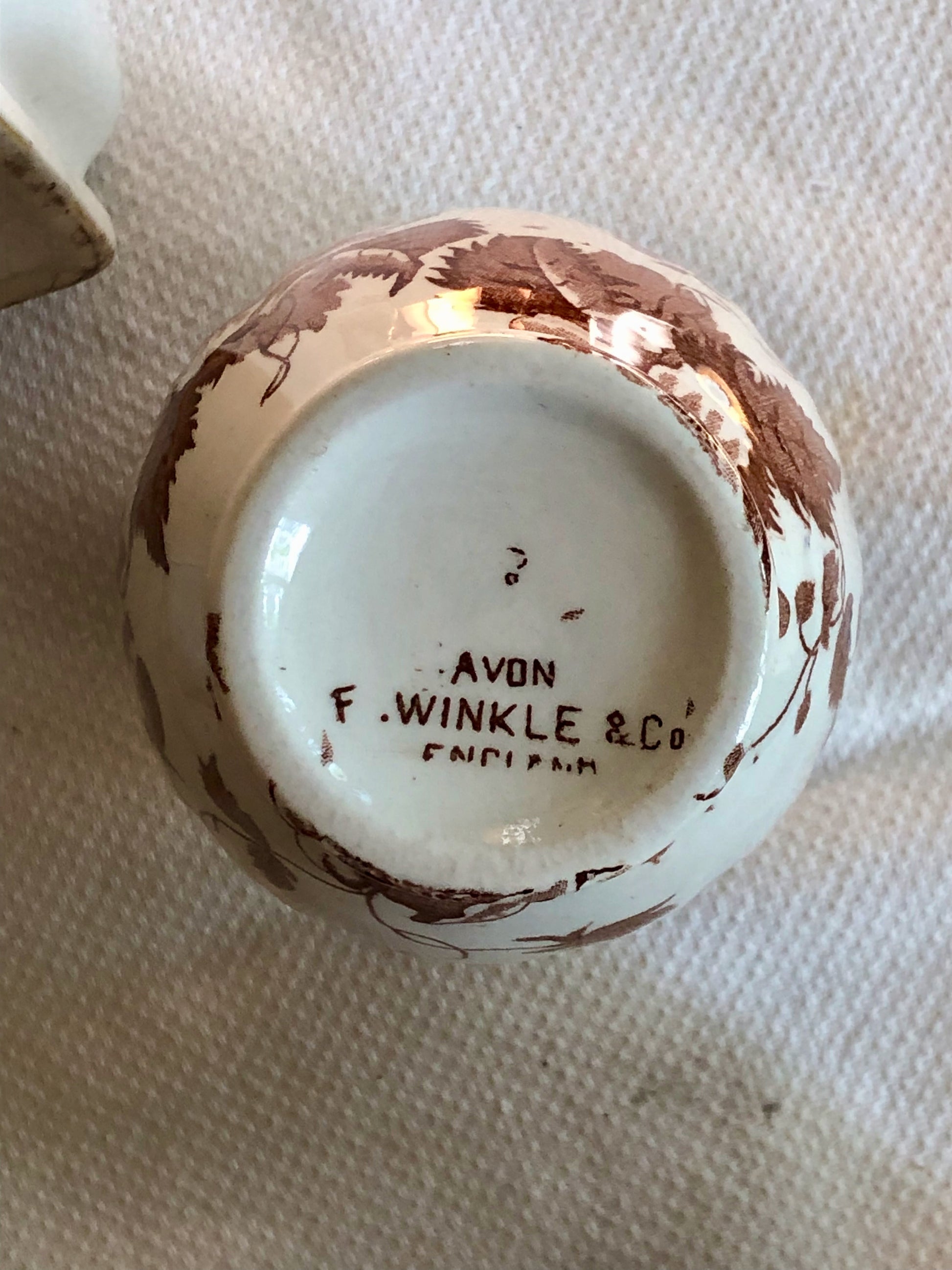 base of a brown and white English transferware toothbrush holder F. Winkle & Co.