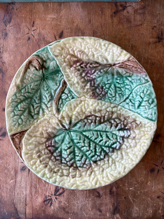 antique majolica begonia leaf plate