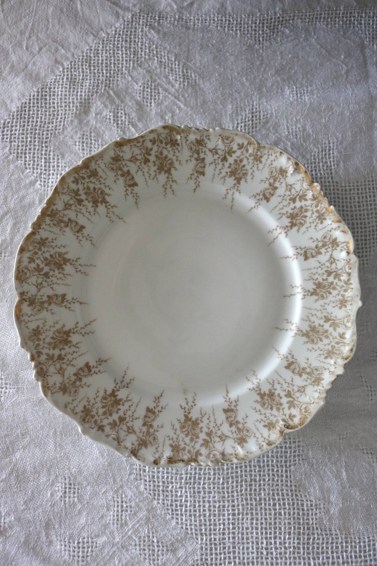 antique Limoges plate