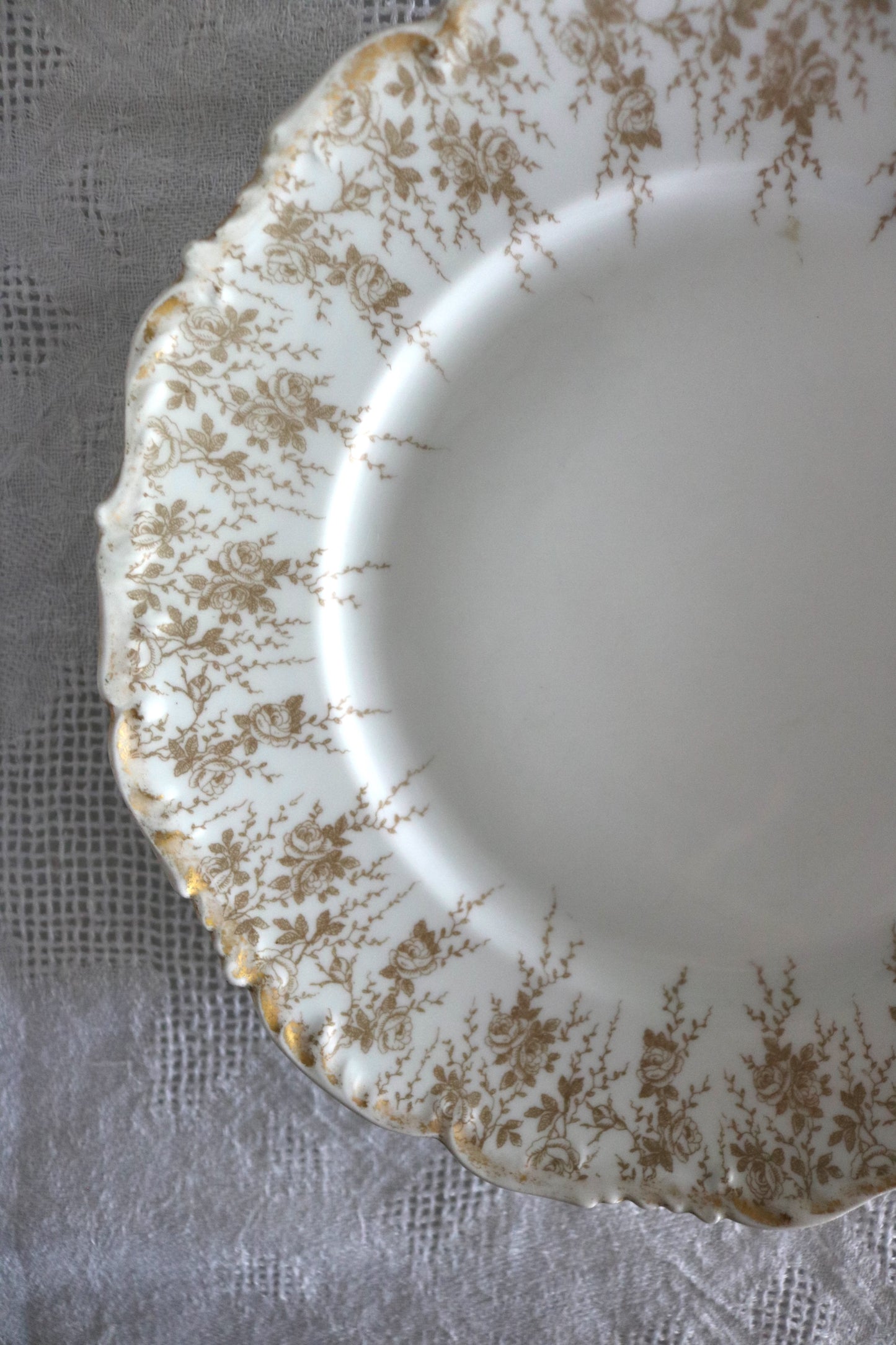 antique Limoges plate