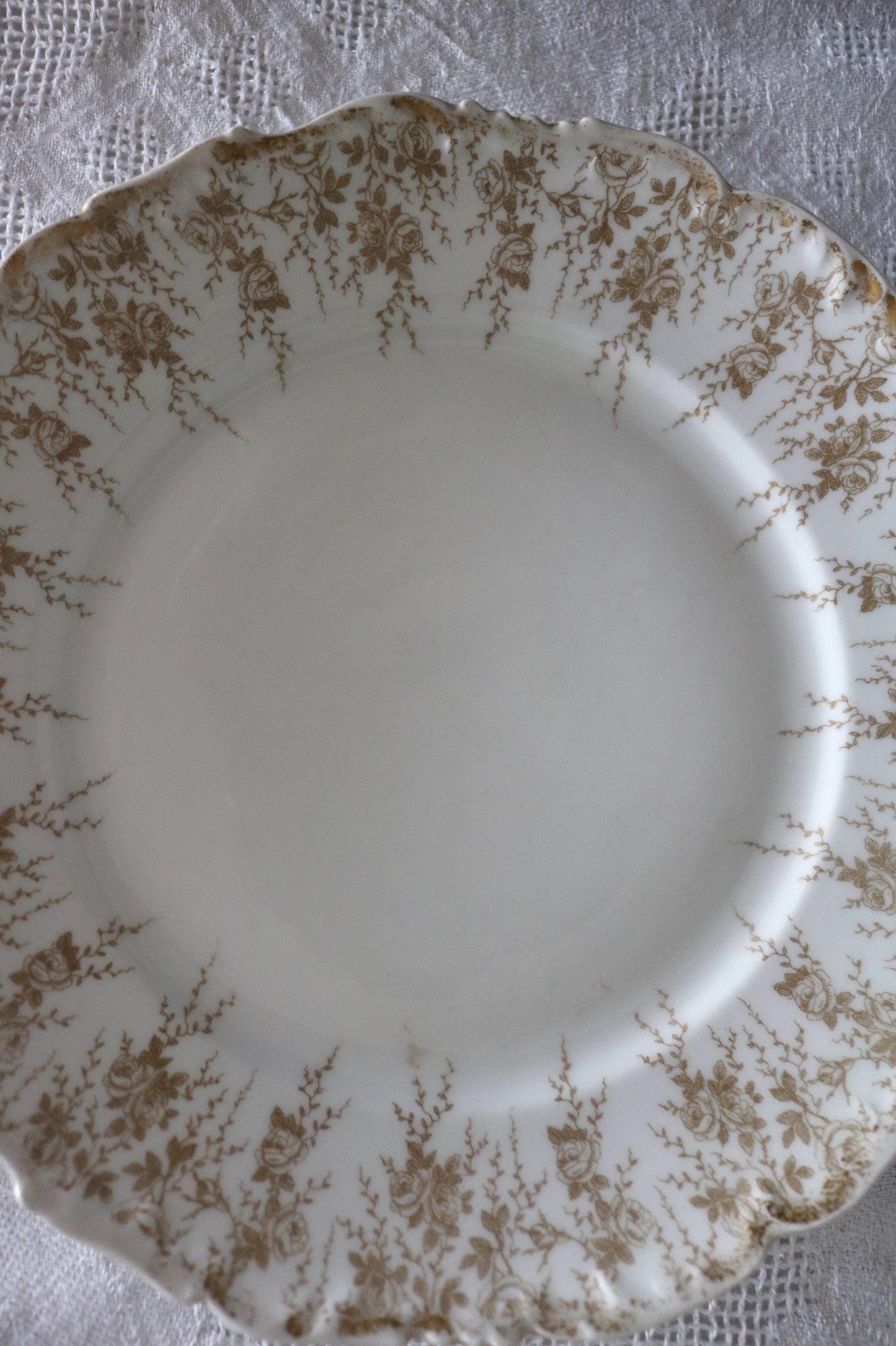 antique Limoges plate