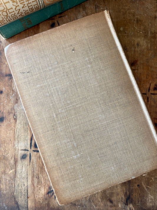 Antique book - Master Painters by Stewart Dick 1911