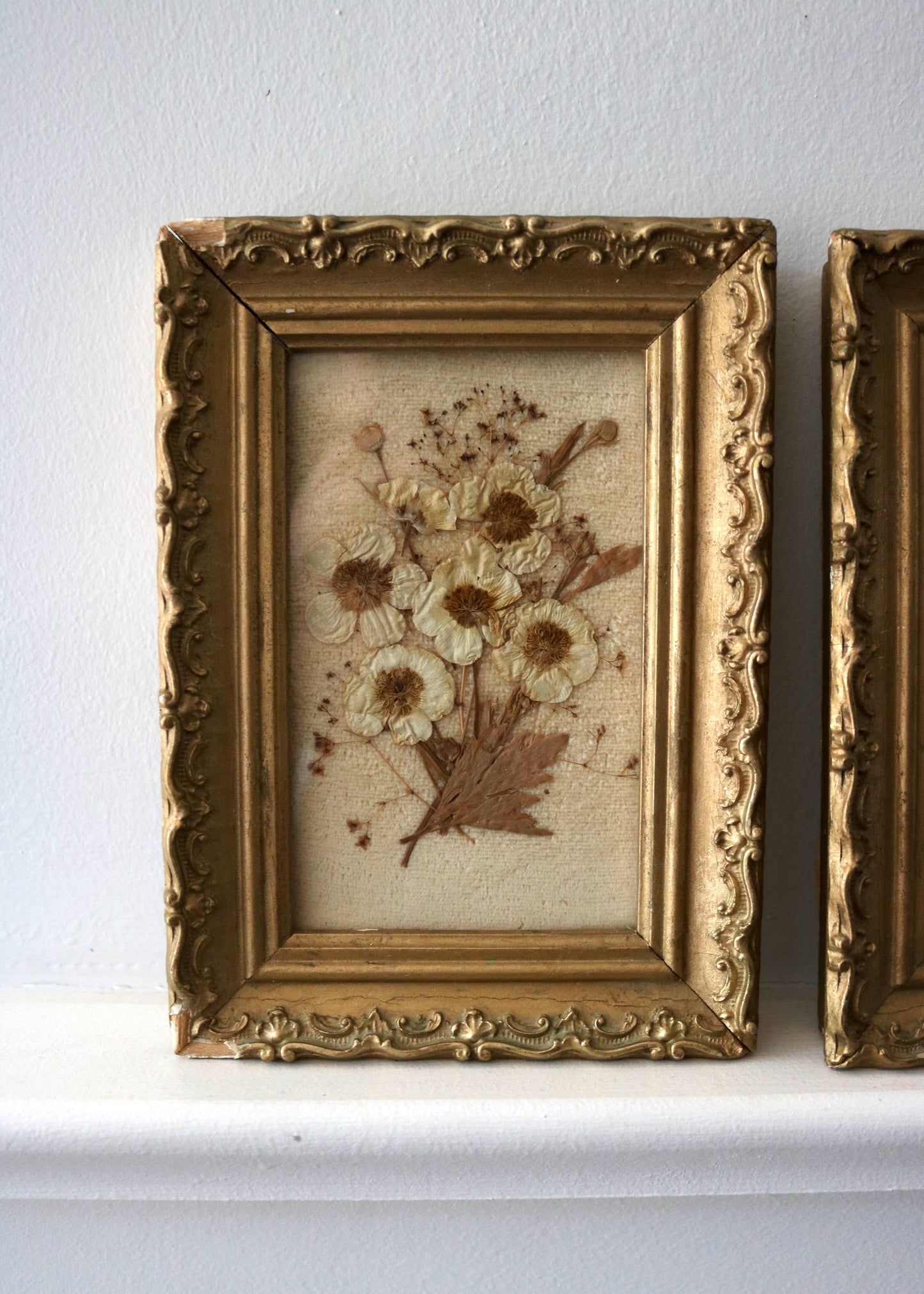 Antique pressed flower botanical framed art, set of two