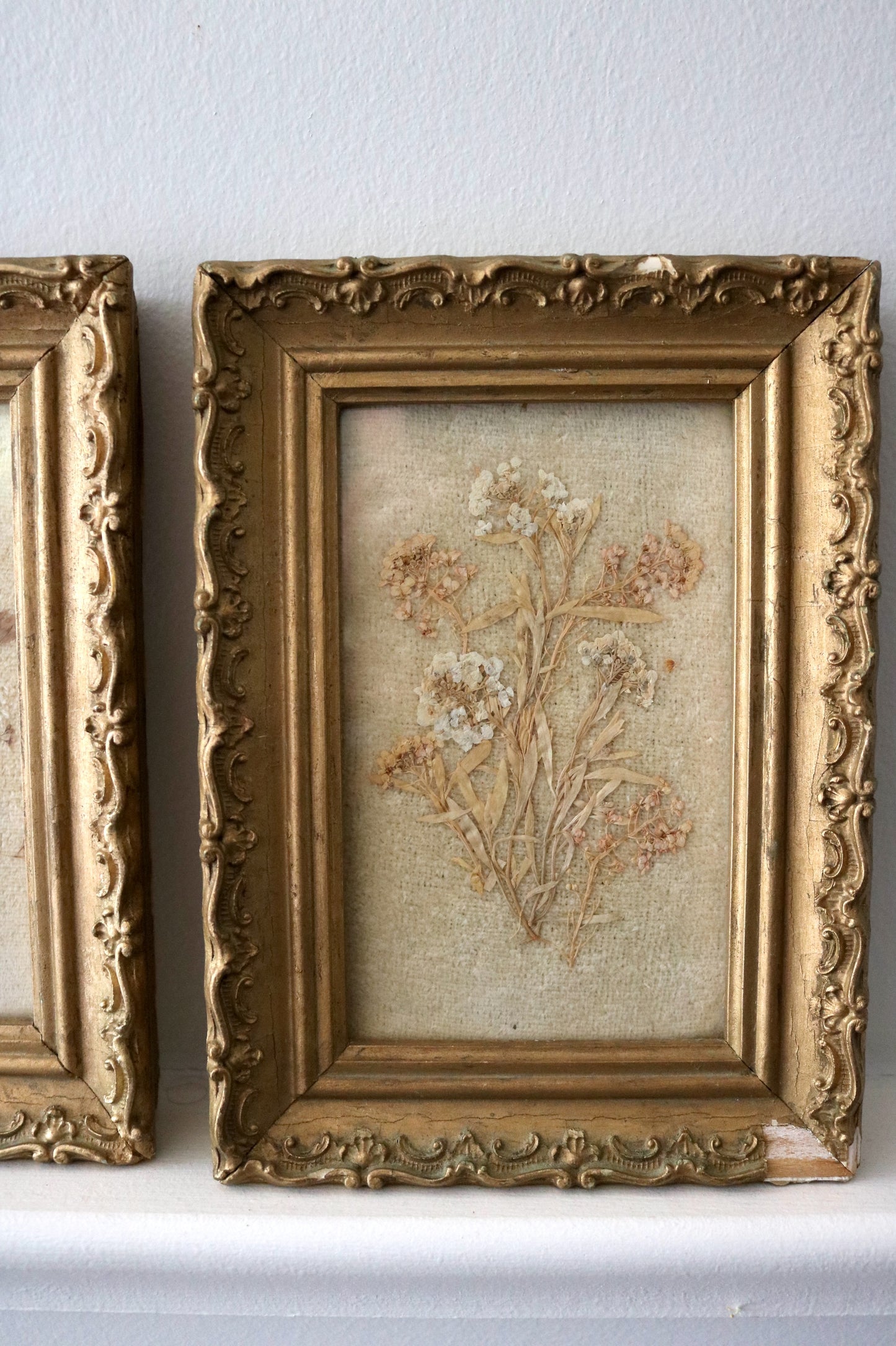 Antique pressed flower botanical framed art, set of two