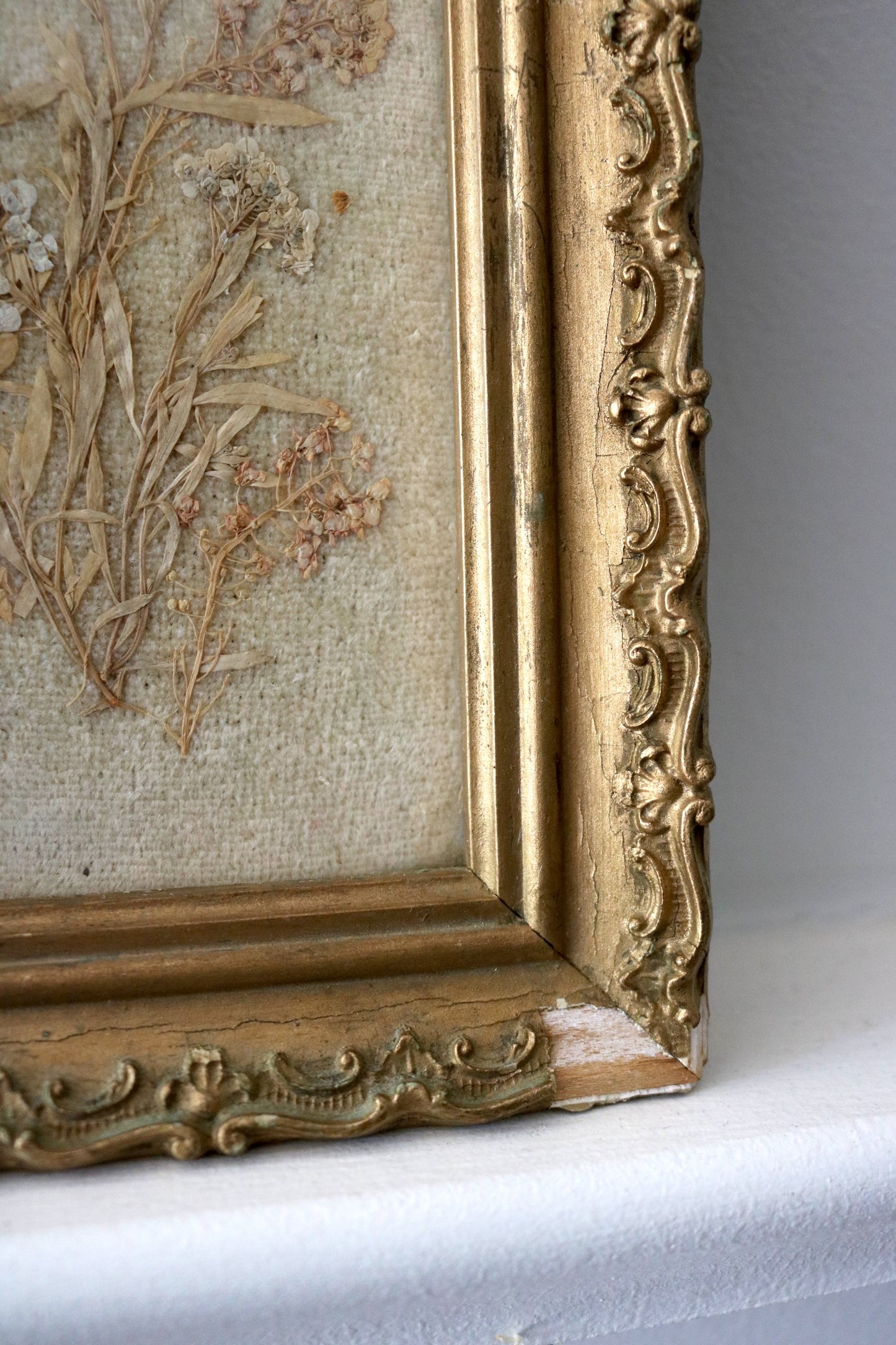 Antique pressed flower botanical framed art, set of two