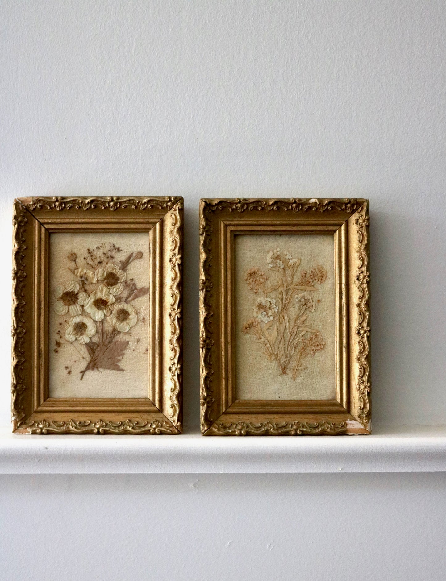 Antique pressed flower botanical framed art, set of two