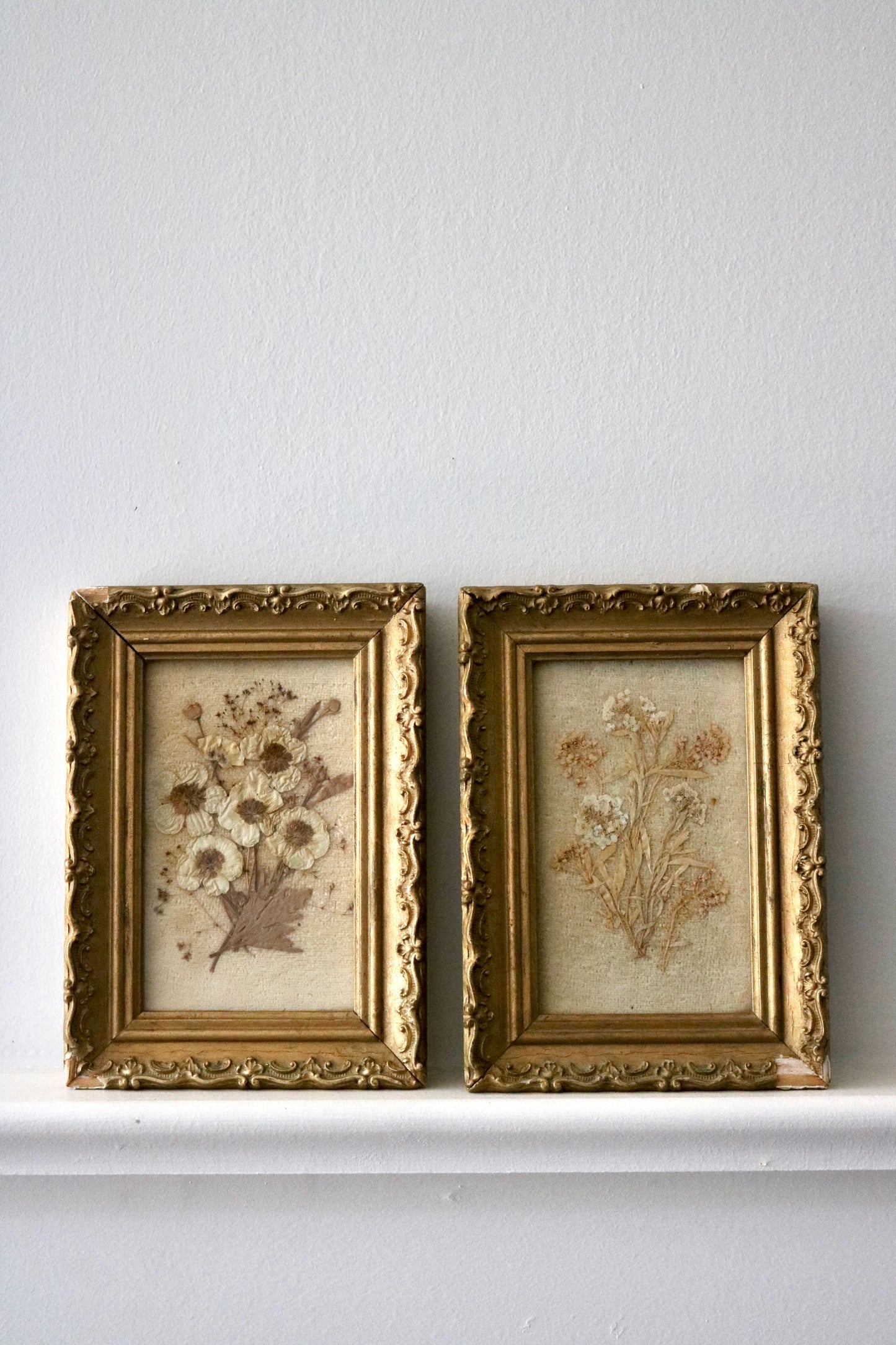 Antique pressed flower botanical framed art, set of two