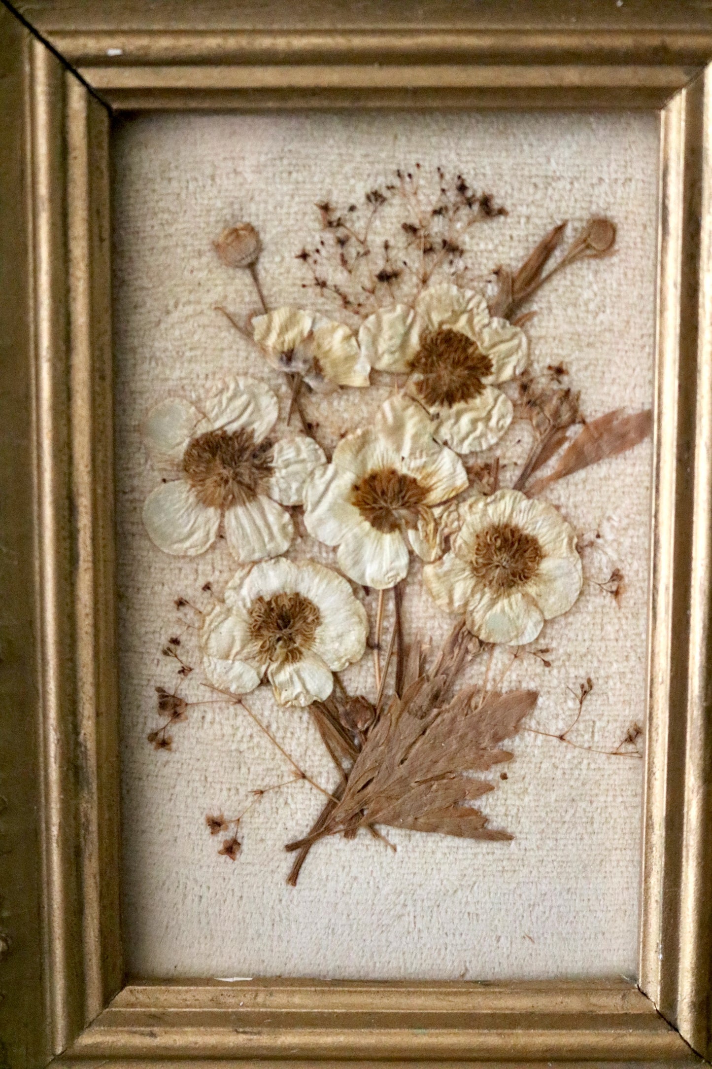 Antique pressed flower botanical framed art, set of two