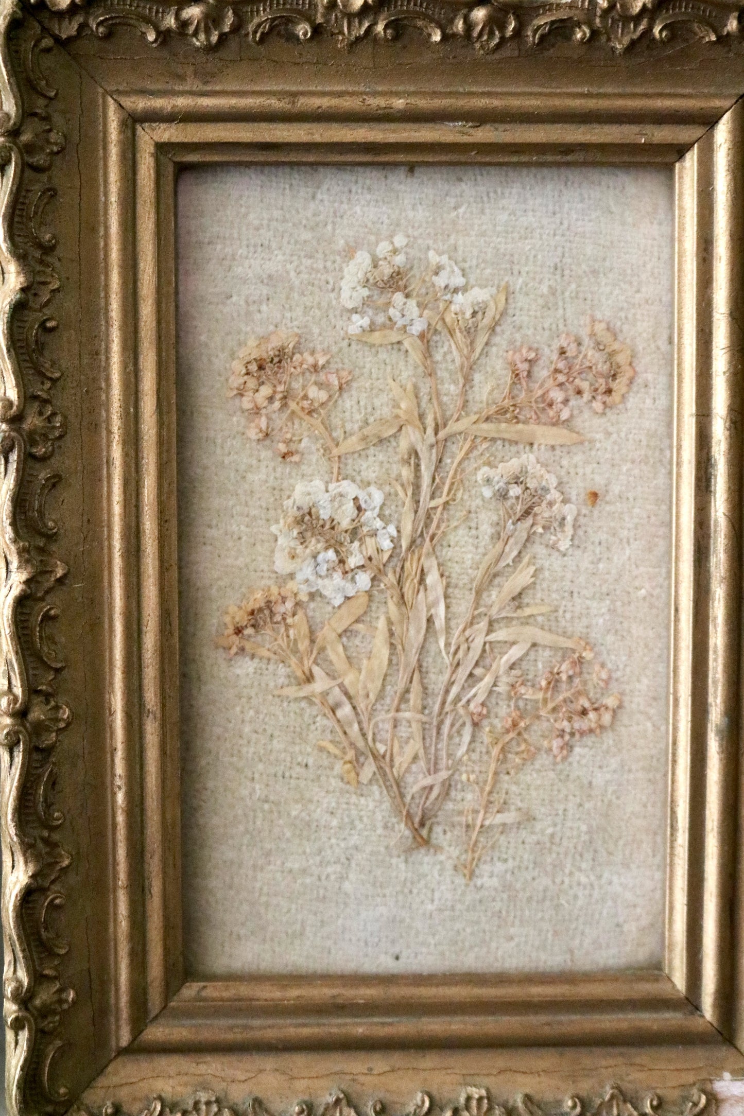 Antique pressed flower botanical framed art, set of two