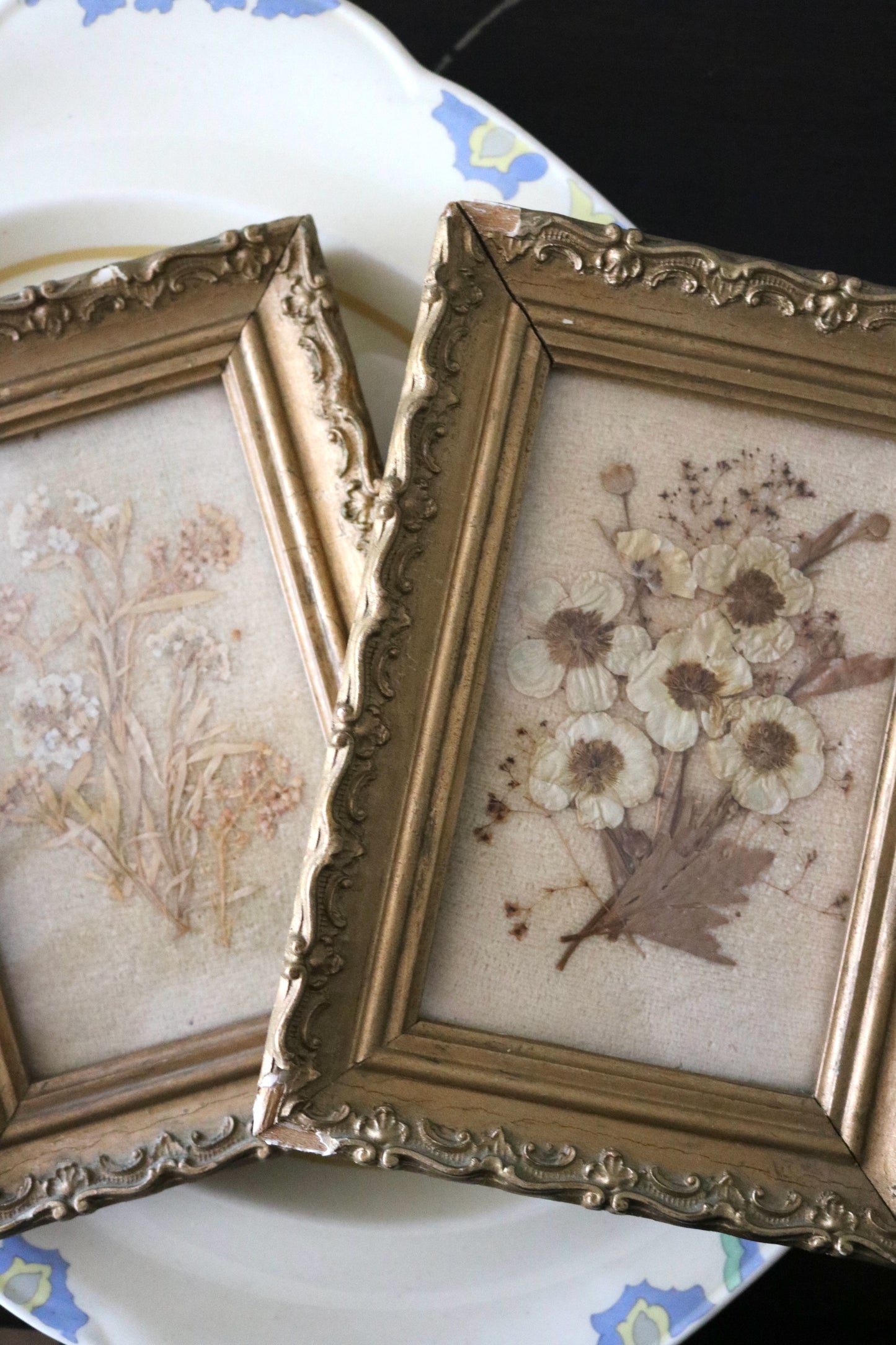 Antique pressed flower botanical framed art, set of two