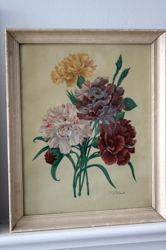 Carnations floral print by Pierre-Joseph Redoute