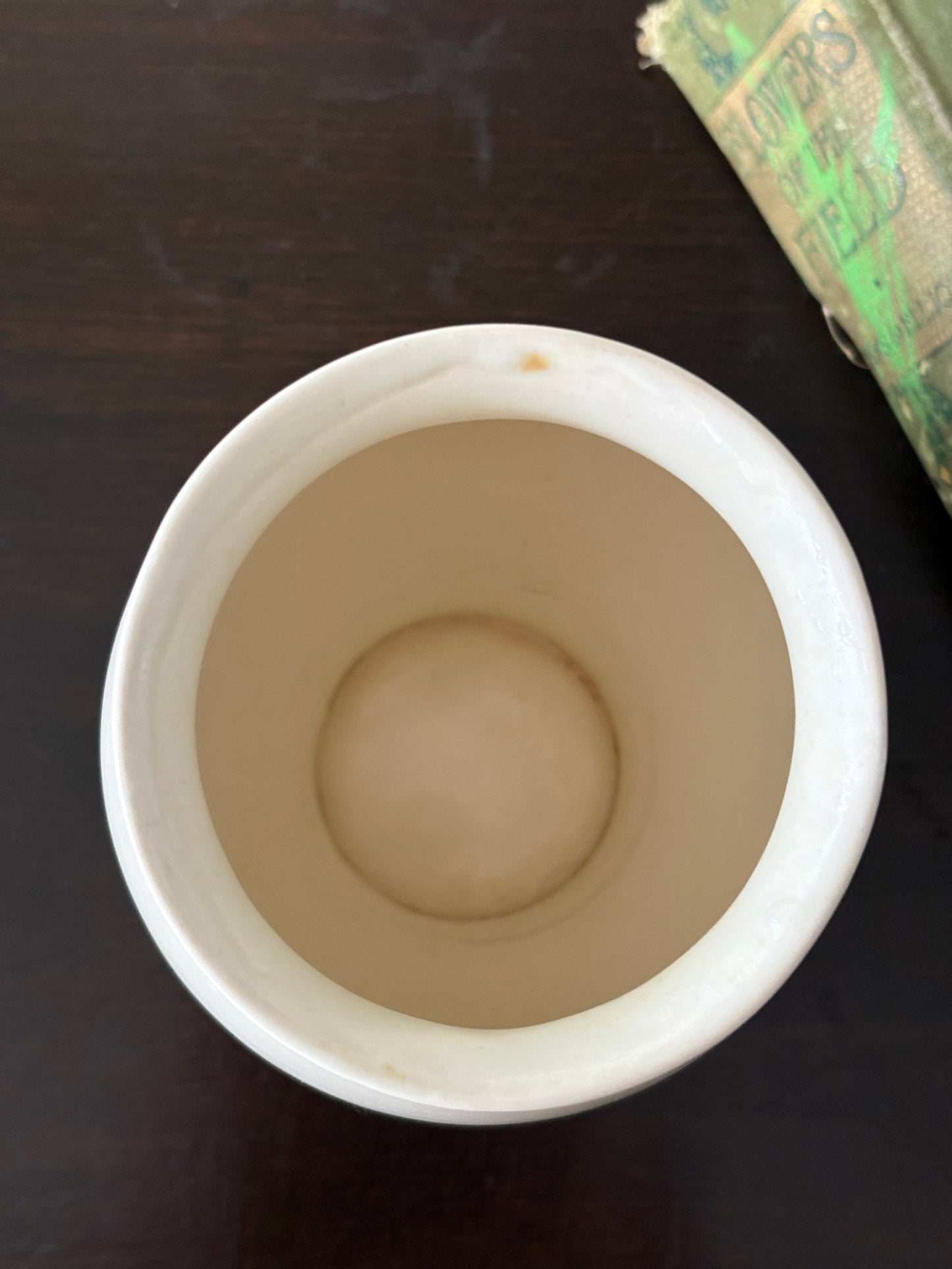 vintage English Crown Devon vase