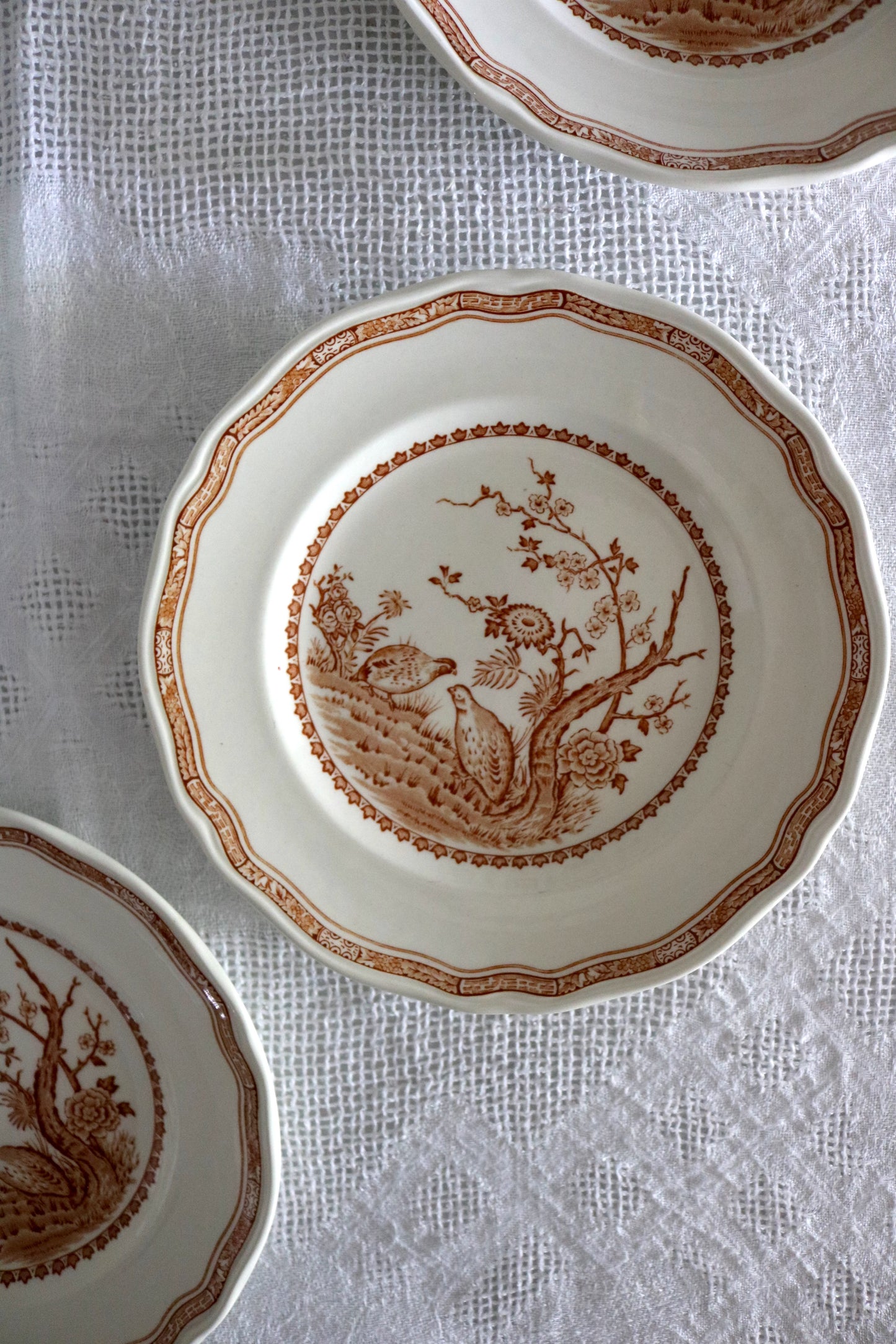 antique brown transferware plates 'Furnivals Quail'- set of 5