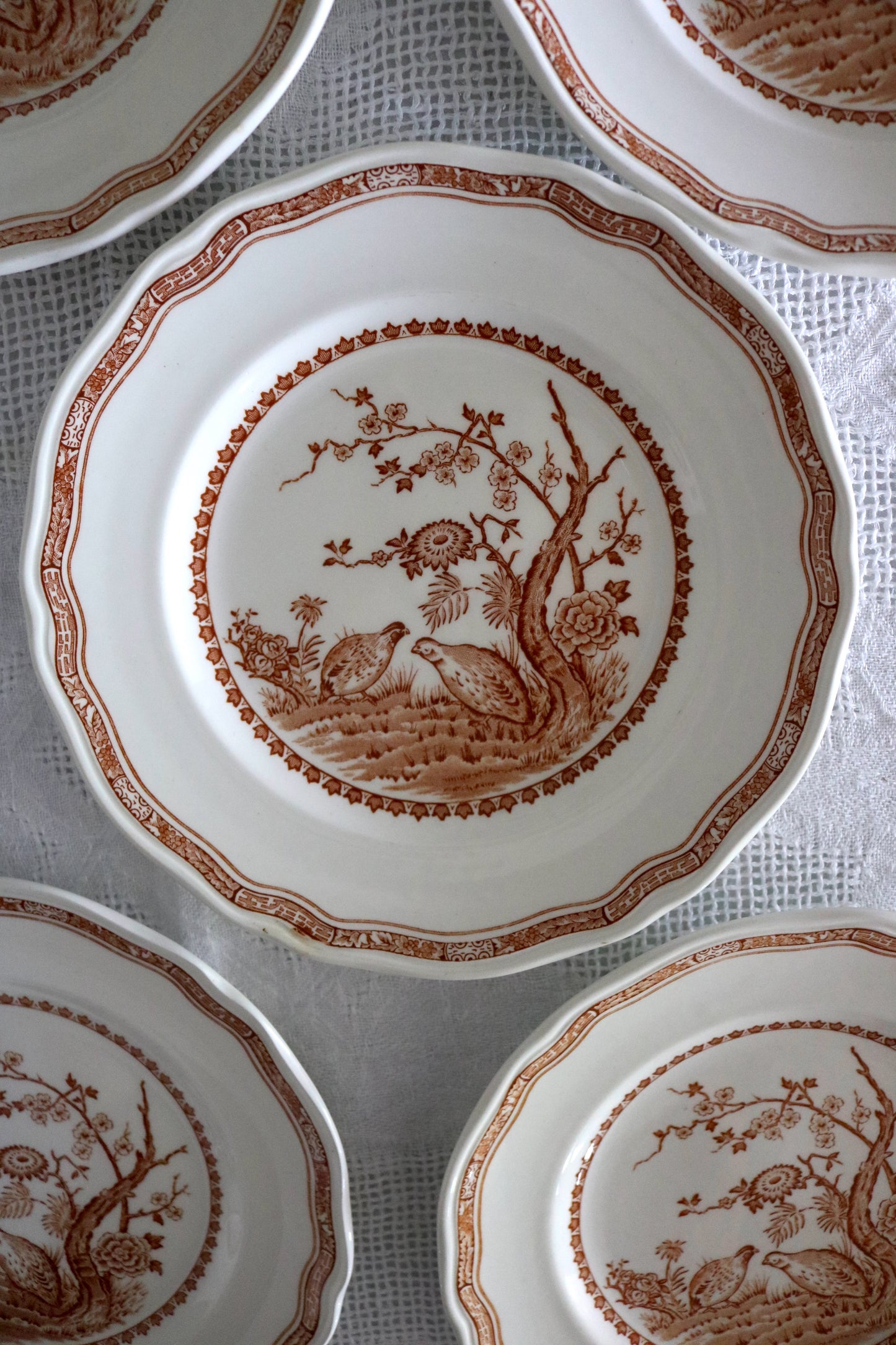 antique brown transferware plates 'Furnivals Quail'- set of 5