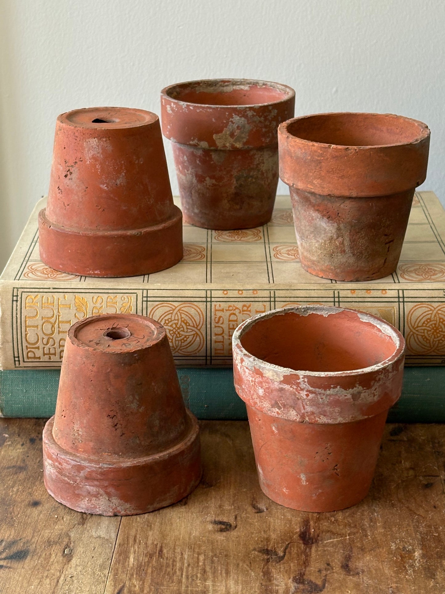 vintage terracotta seedling pots -set of 5