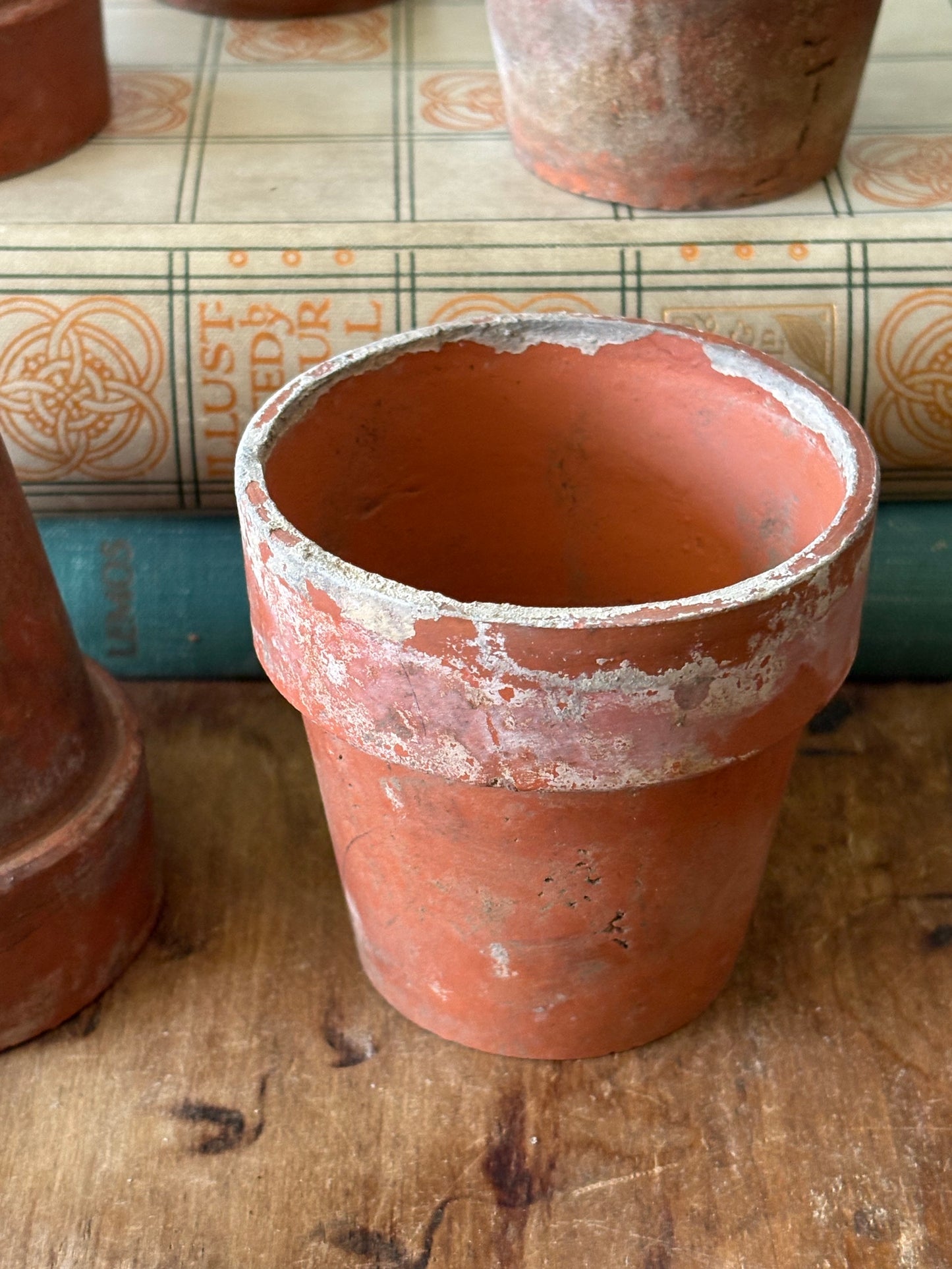 vintage terracotta seedling pots -set of 5