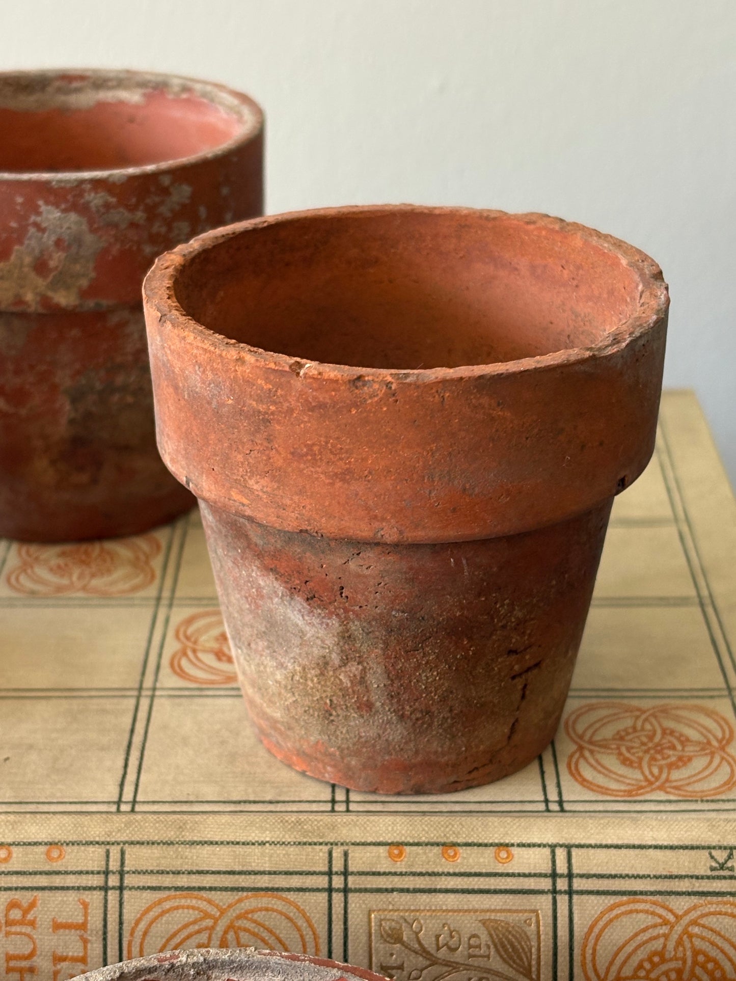vintage terracotta seedling pots -set of 5