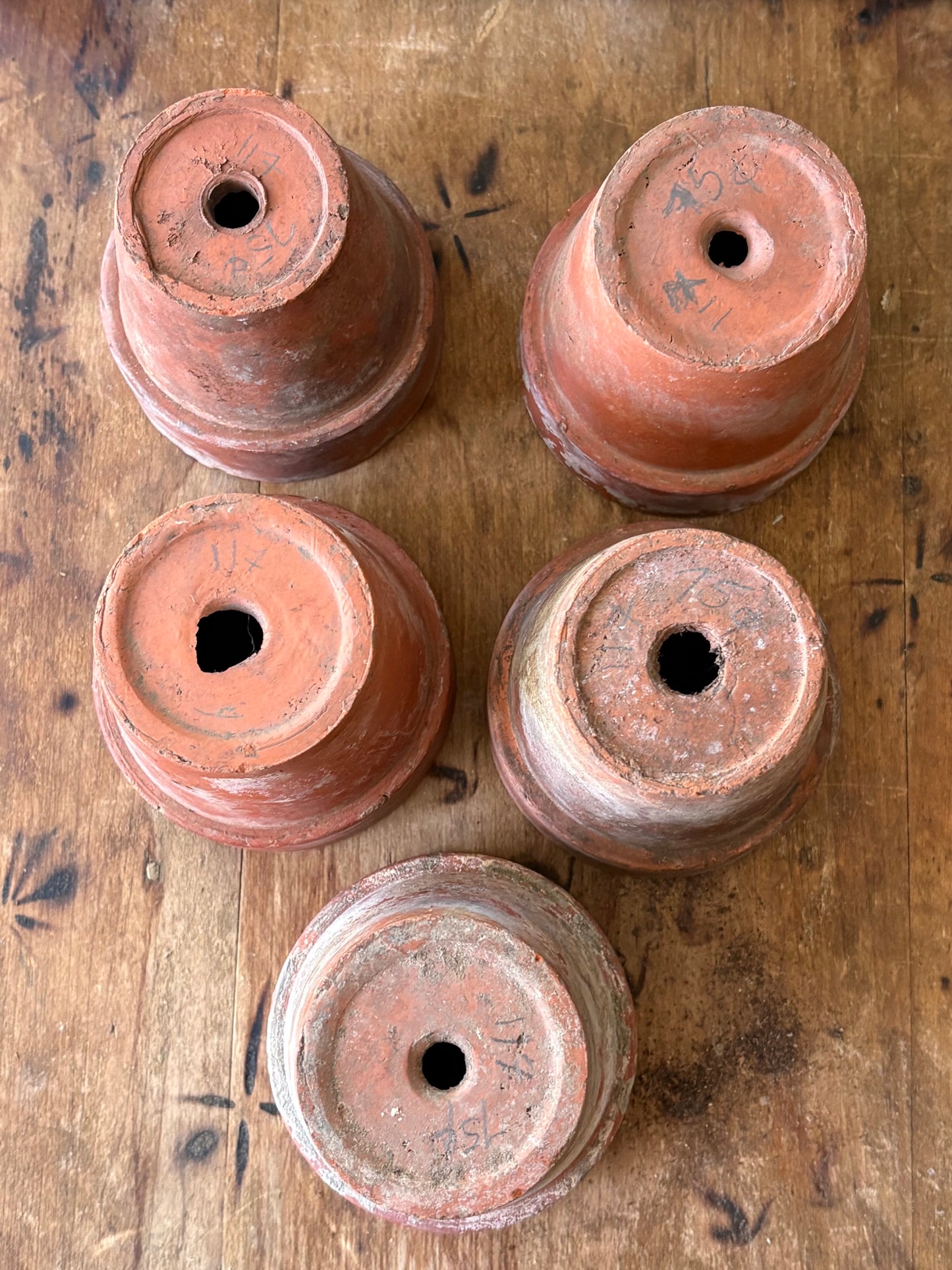 vintage terracotta seedling pots -set of 5