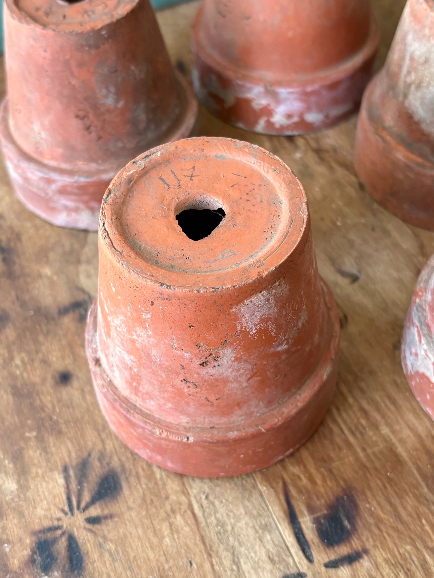 vintage terracotta seedling pots -set of 5