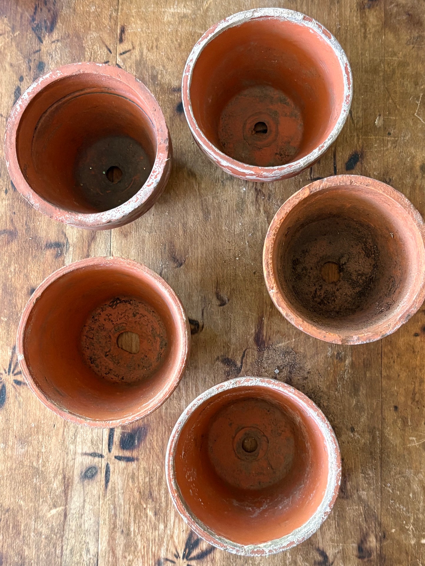 vintage terracotta seedling pots -set of 5