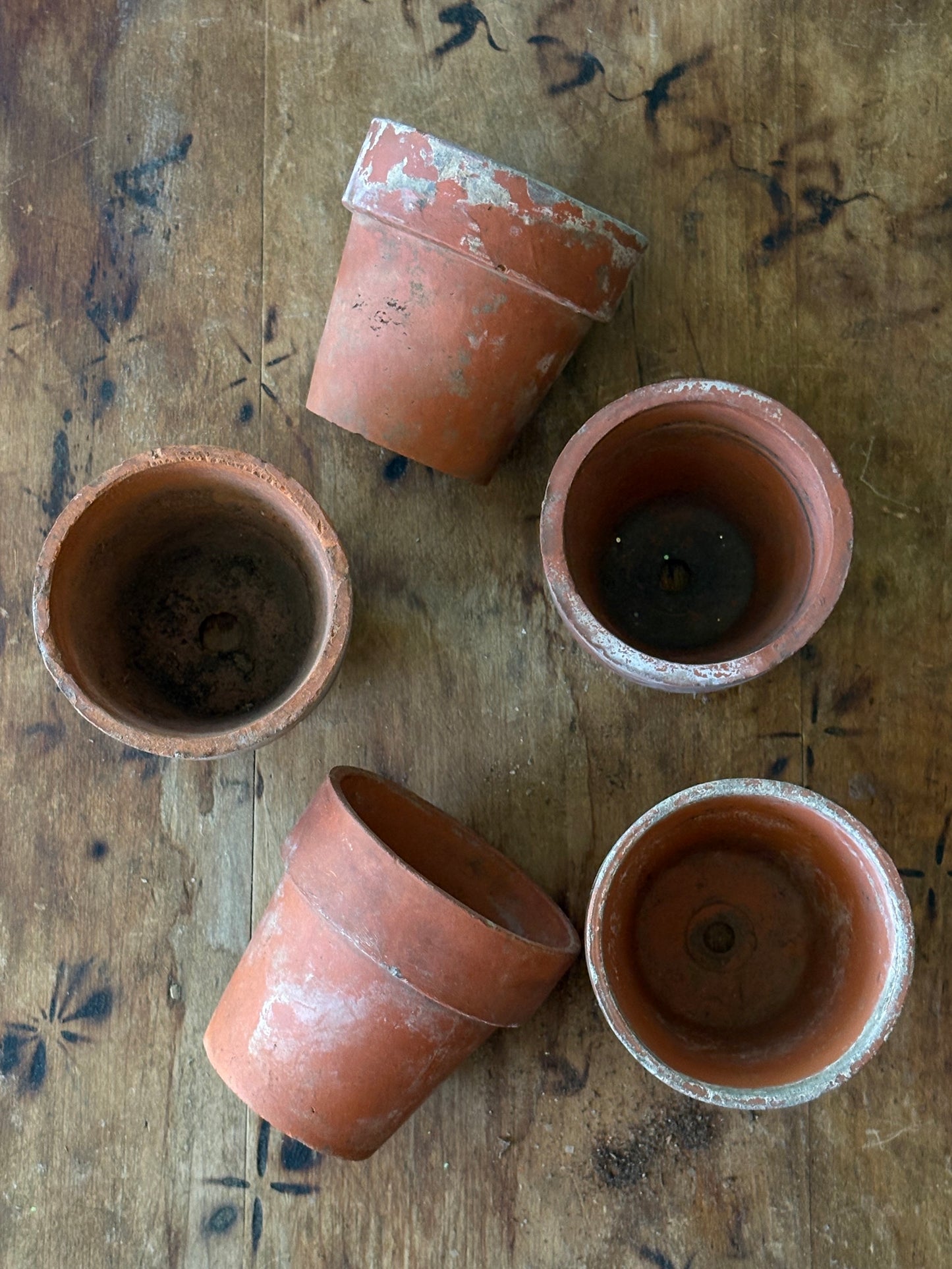 vintage terracotta seedling pots -set of 5