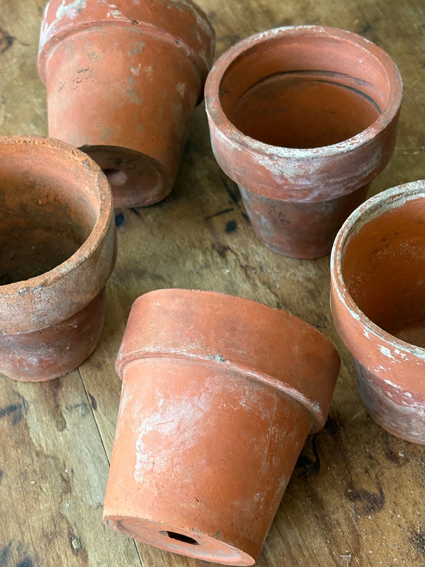 vintage terracotta seedling pots -set of 5