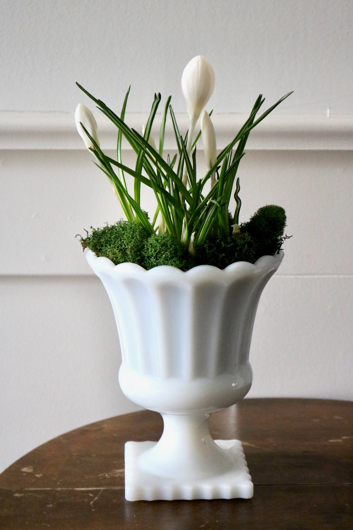 Milk glass scalloped edge pedestal planter