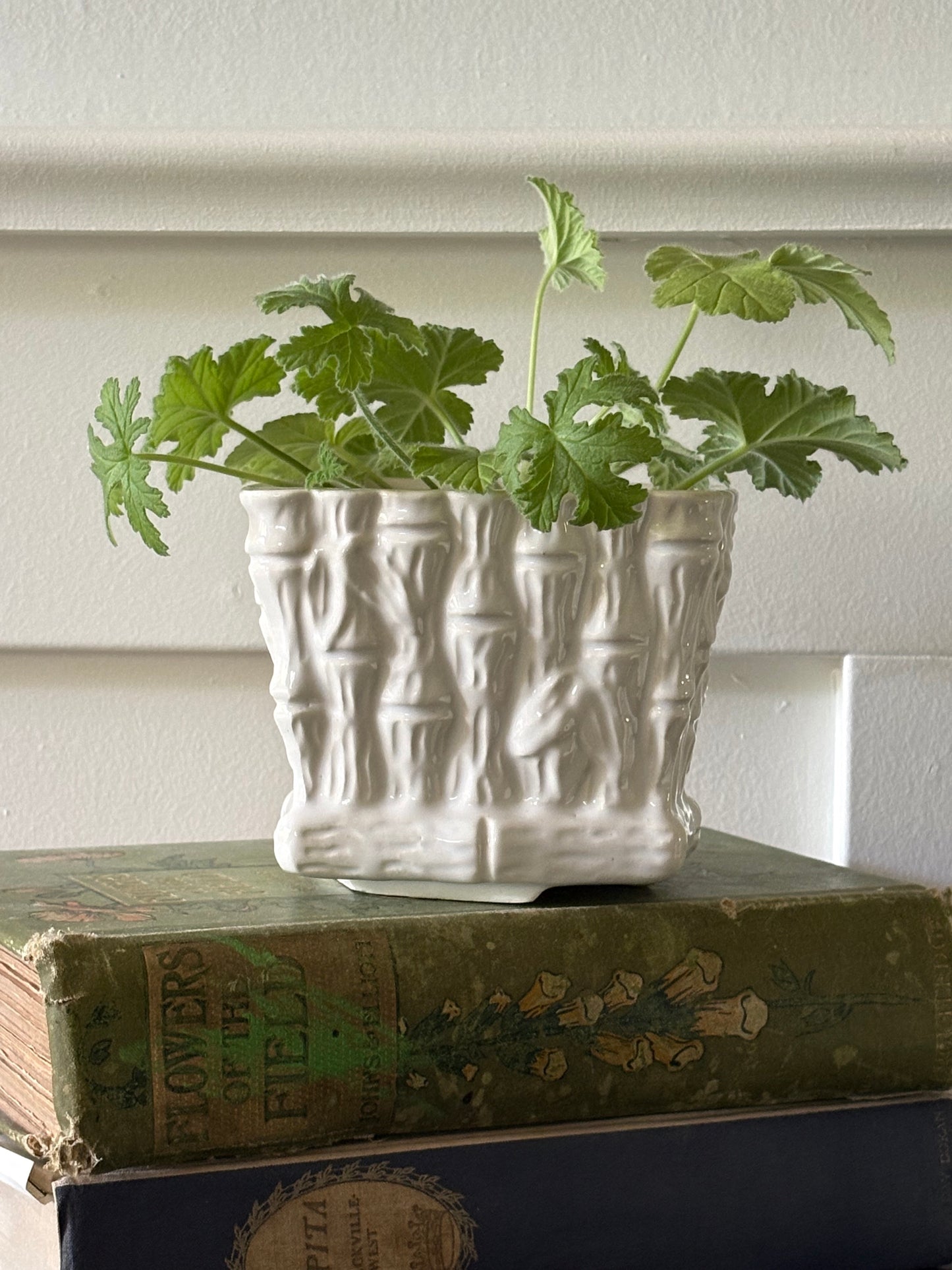 vintage faux bamboo creamware planter