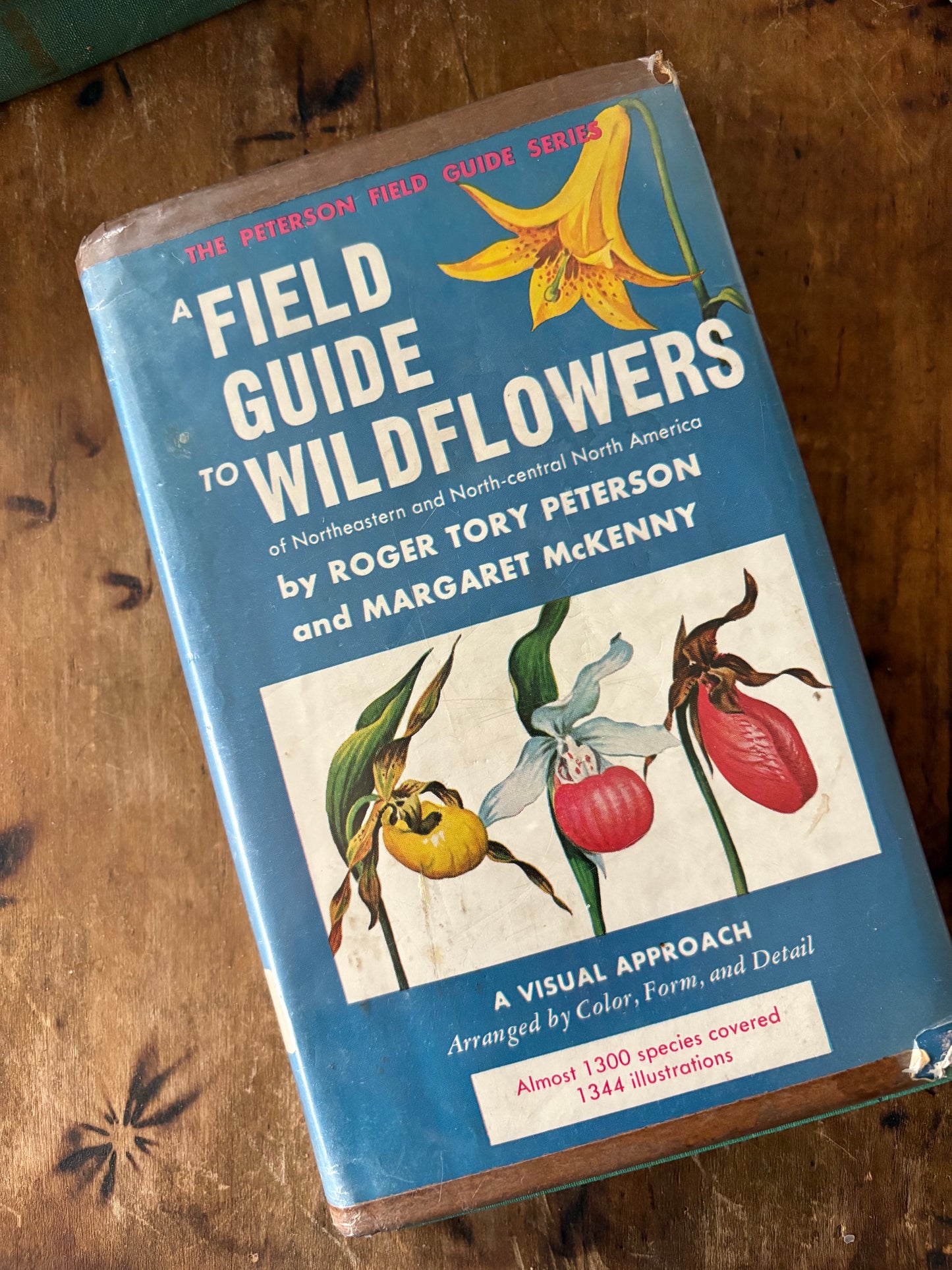 vintage Field Guide to Wildflowers book